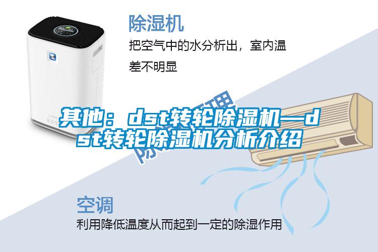 其他：dst轉輪除濕機—dst轉輪除濕機分析介紹