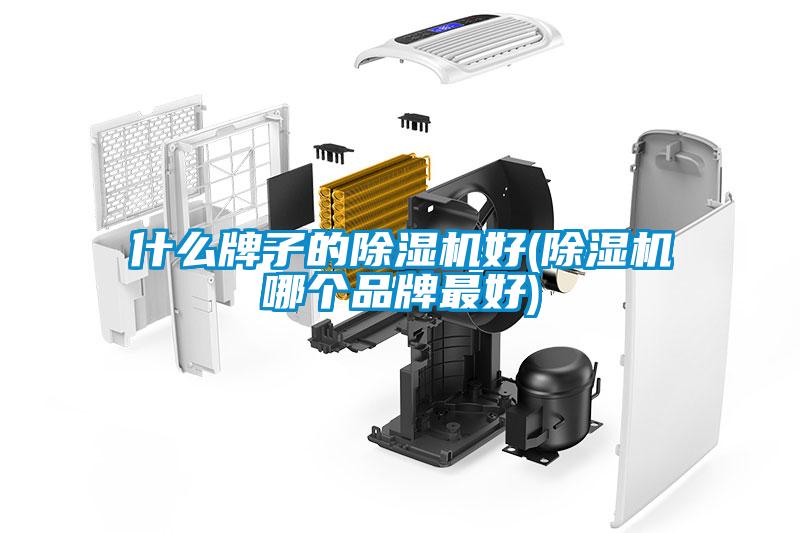 什么牌子的除濕機好(除濕機哪個品牌最好)