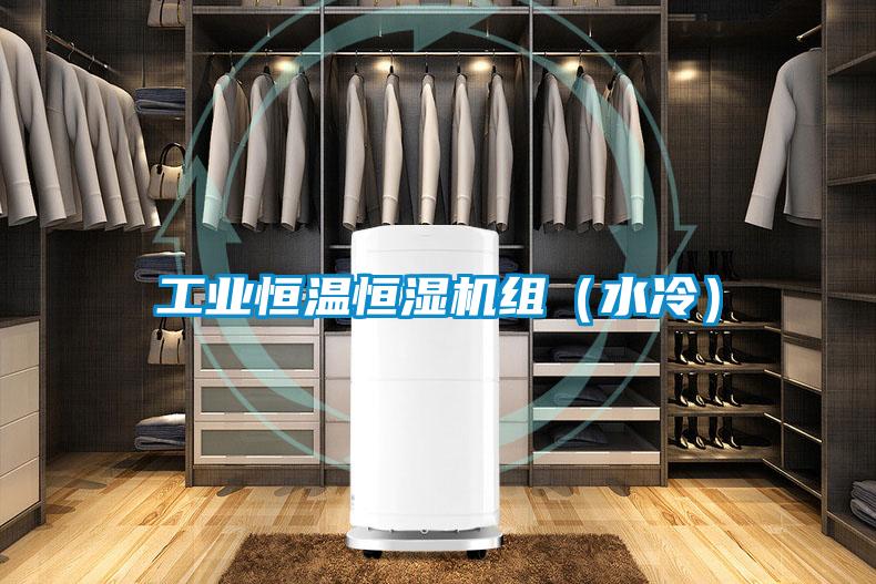 工業(yè)恒溫恒濕機(jī)組（水冷）