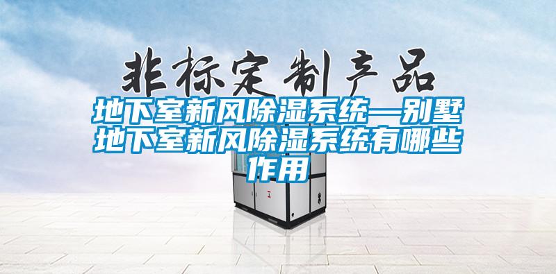 地下室新風除濕系統—別墅地下室新風除濕系統有哪些作用