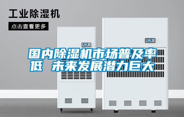 國內(nèi)除濕機市場普及率低 未來發(fā)展?jié)摿薮?/></p>
<p style=