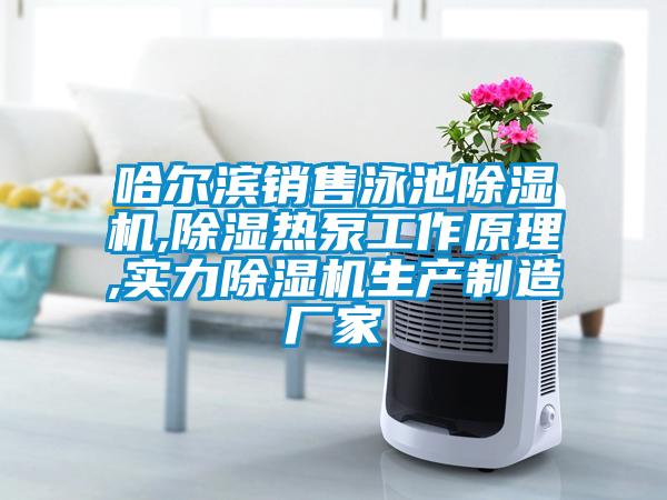 哈爾濱銷售泳池除濕機,除濕熱泵工作原理,實力除濕機生產制造廠家
