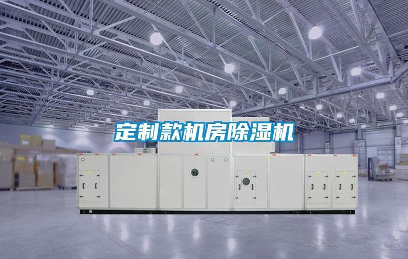 定制款機房除濕機