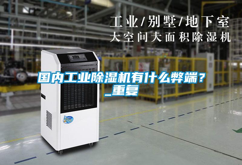 國內工業除濕機有什么弊端？_重復
