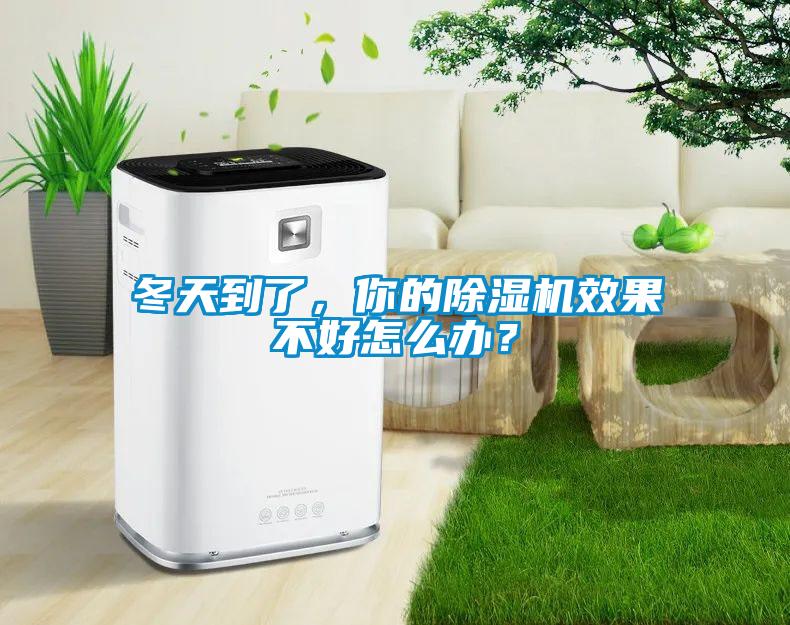 冬天到了，你的除濕機效果不好怎么辦？