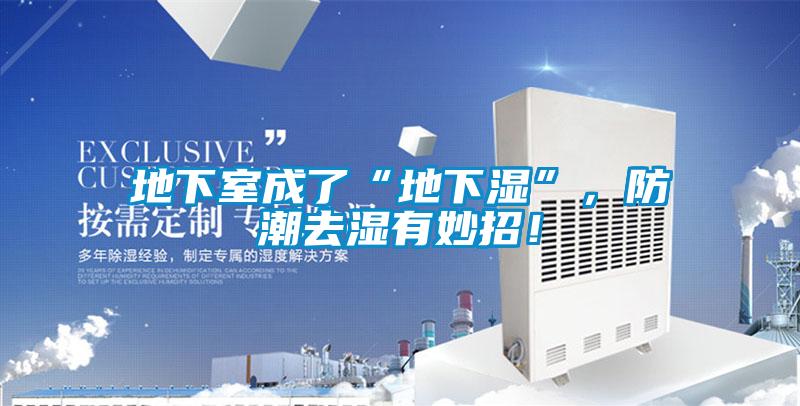 地下室成了“地下濕”，防潮去濕有妙招！