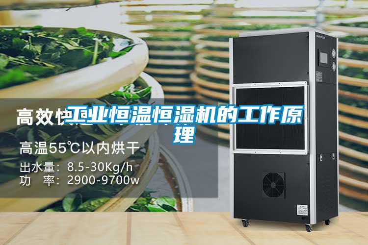 工業(yè)恒溫恒濕機的工作原理