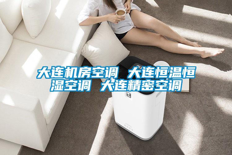 大連機(jī)房空調(diào) 大連恒溫恒濕空調(diào) 大連精密空調(diào)