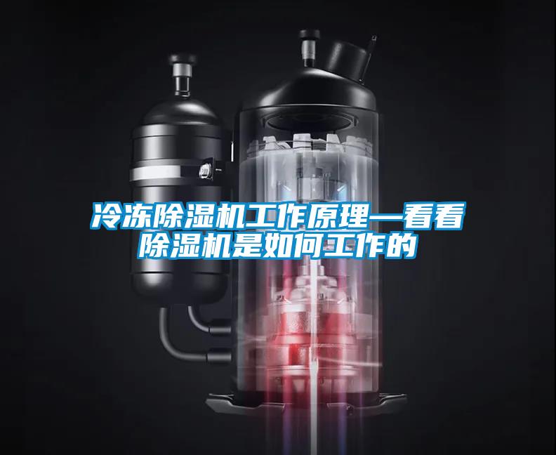 冷凍除濕機(jī)工作原理—看看除濕機(jī)是如何工作的