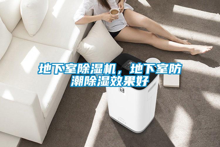 地下室除濕機(jī)，地下室防潮除濕效果好