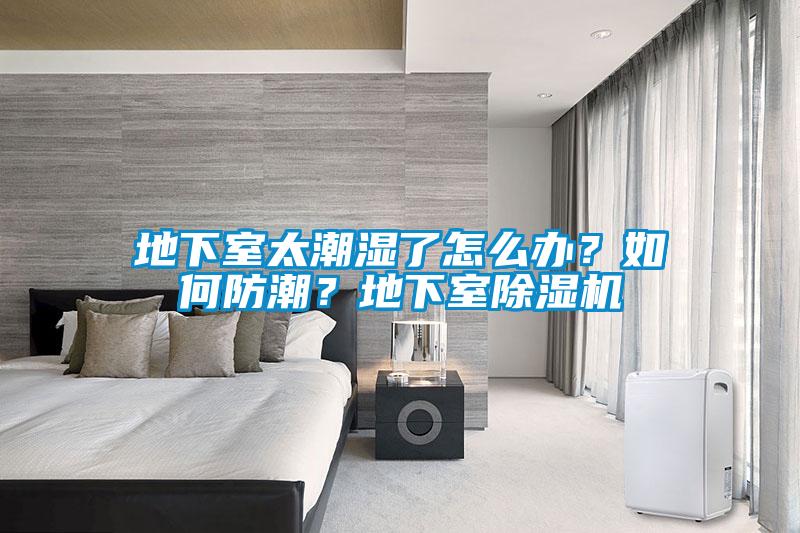 地下室太潮濕了怎么辦？如何防潮？地下室除濕機