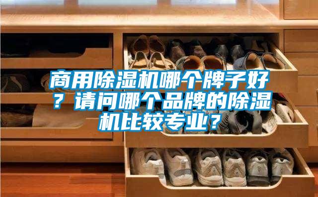 商用除濕機(jī)哪個牌子好？請問哪個品牌的除濕機(jī)比較專業(yè)？