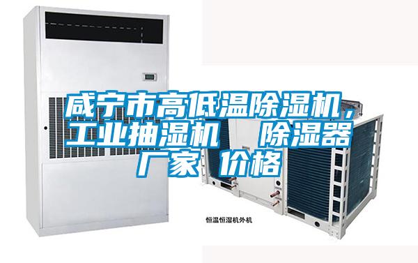 咸寧市高低溫除濕機，工業(yè)抽濕機  除濕器廠家 價格