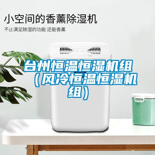 臺(tái)州恒溫恒濕機(jī)組（風(fēng)冷恒溫恒濕機(jī)組）
