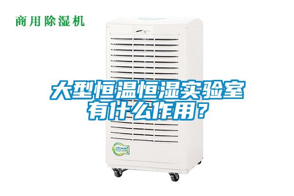 大型恒溫恒濕實驗室有什么作用？