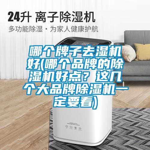 哪個牌子去濕機好(哪個品牌的除濕機好點？這幾個大品牌除濕機一定要看)