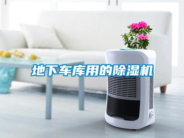 地下車(chē)庫(kù)用的除濕機(jī)