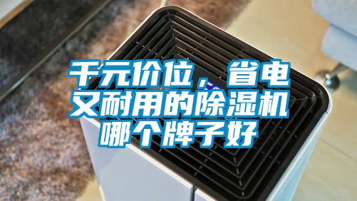 千元價位，省電又耐用的除濕機哪個牌子好