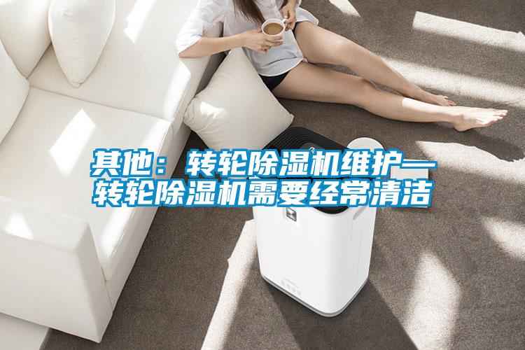 其他：轉(zhuǎn)輪除濕機維護—轉(zhuǎn)輪除濕機需要經(jīng)常清潔
