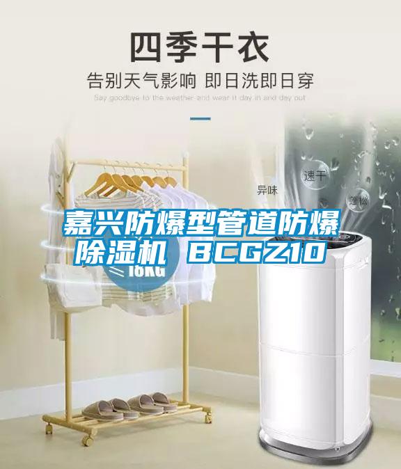 嘉興防爆型管道防爆除濕機 BCGZ10