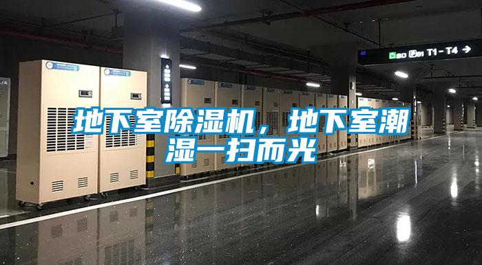 地下室除濕機，地下室潮濕一掃而光