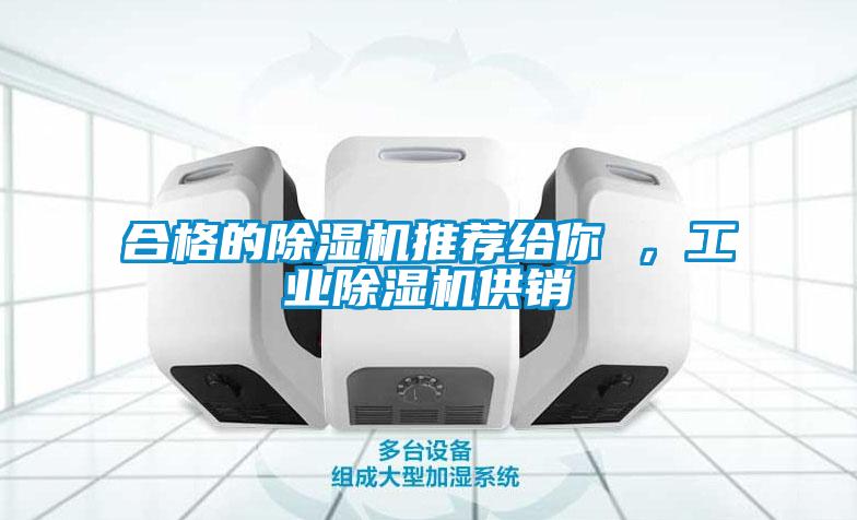 合格的除濕機推薦給你 ，工業除濕機供銷