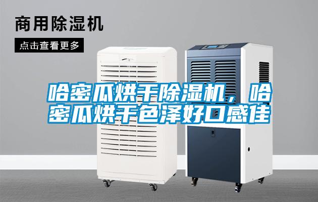 哈密瓜烘干除濕機(jī)，哈密瓜烘干色澤好口感佳