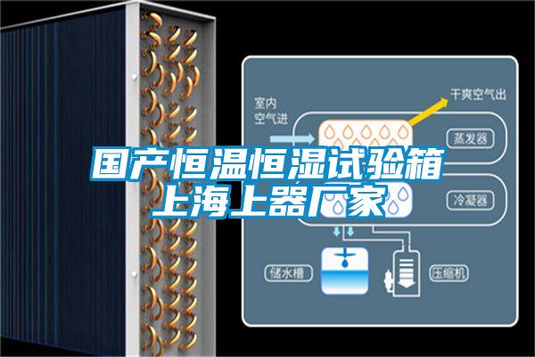國產恒溫恒濕試驗箱上海上器廠家