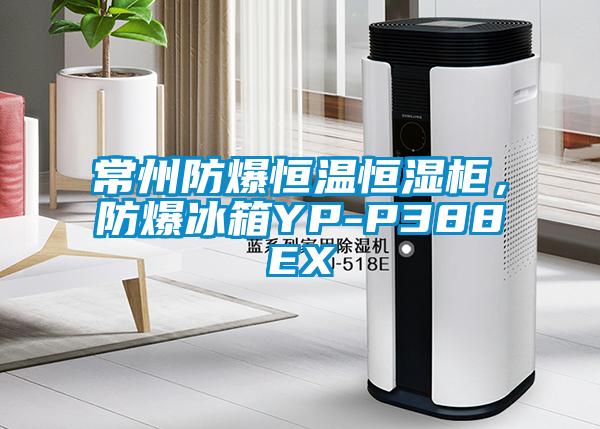 常州防爆恒溫恒濕柜，防爆冰箱YP-P388EX