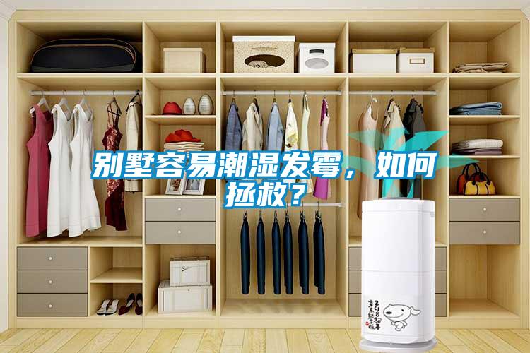 別墅容易潮濕發霉，如何拯救？