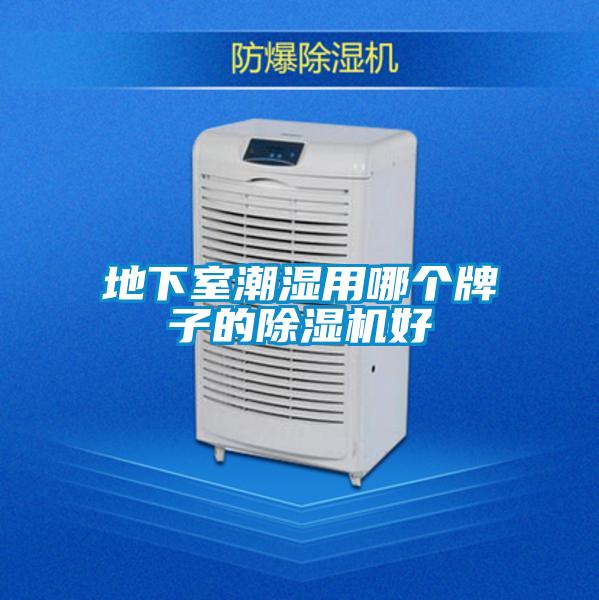 地下室潮濕用哪個牌子的除濕機好
