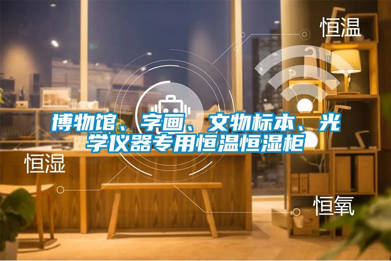 博物館、字畫、文物標本、光學儀器專用恒溫恒濕柜