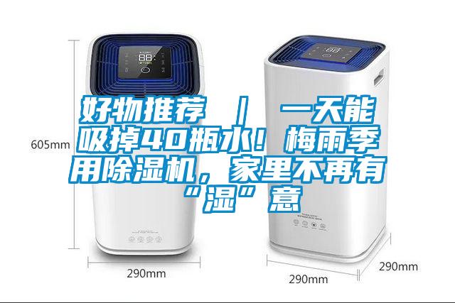 好物推薦 ｜ 一天能吸掉40瓶水！梅雨季用除濕機，家里不再有“濕”意