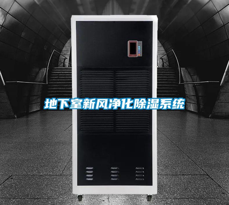 地下室新風凈化除濕系統(tǒng)
