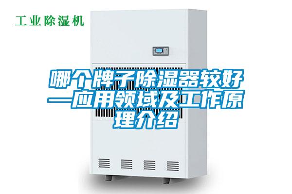 哪個牌子除濕器較好—應用領域及工作原理介紹