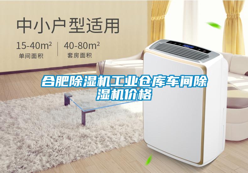 合肥除濕機(jī)工業(yè)倉(cāng)庫(kù)車(chē)間除濕機(jī)價(jià)格