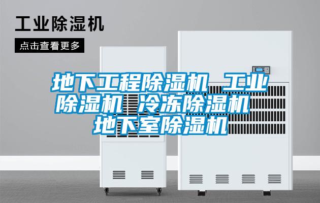 地下工程除濕機 工業除濕機 冷凍除濕機 地下室除濕機