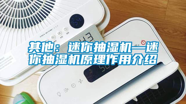 其他：迷你抽濕機—迷你抽濕機原理作用介紹