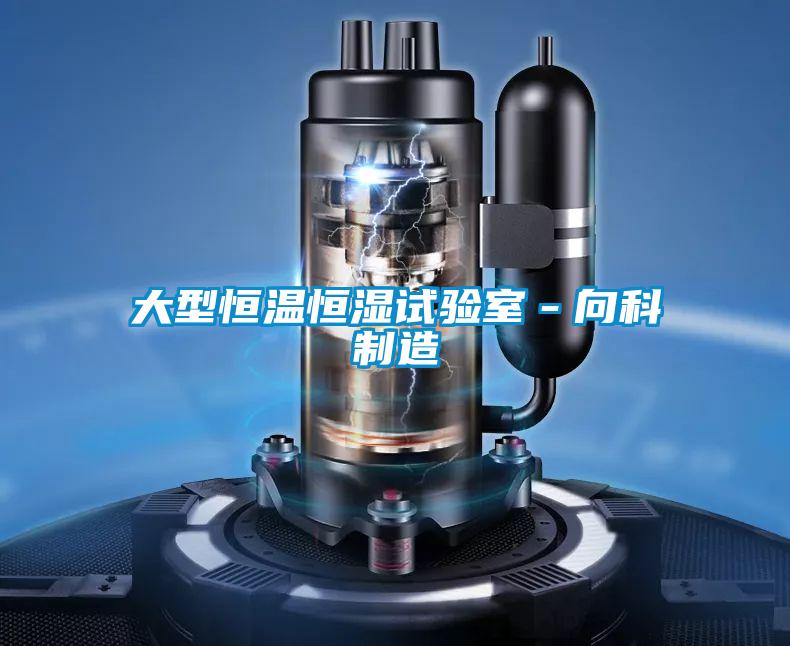 大型恒溫恒濕試驗(yàn)室－向科制造