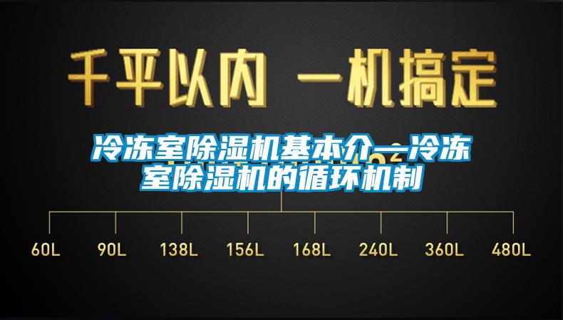冷凍室除濕機基本介—冷凍室除濕機的循環機制
