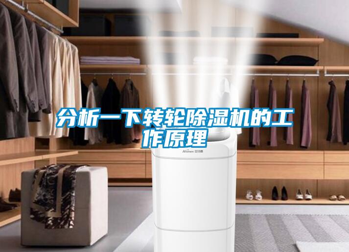 分析一下轉(zhuǎn)輪除濕機(jī)的工作原理