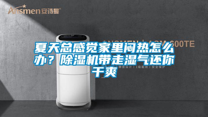 夏天總感覺家里悶熱怎么辦？除濕機(jī)帶走濕氣還你干爽