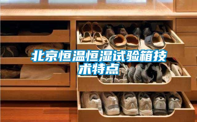 北京恒溫恒濕試驗箱技術特點