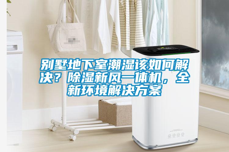 別墅地下室潮濕該如何解決？除濕新風(fēng)一體機(jī)，全新環(huán)境解決方案