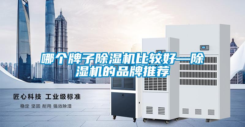 哪個牌子除濕機比較好—除濕機的品牌推薦