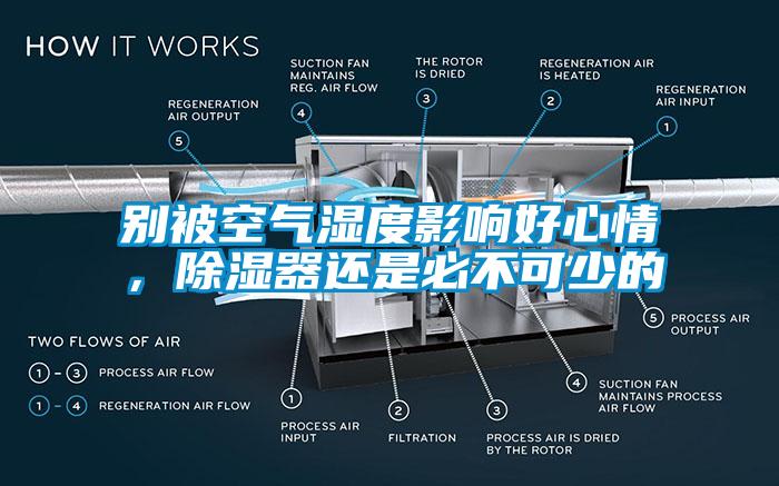 別被空氣濕度影響好心情，除濕器還是必不可少的