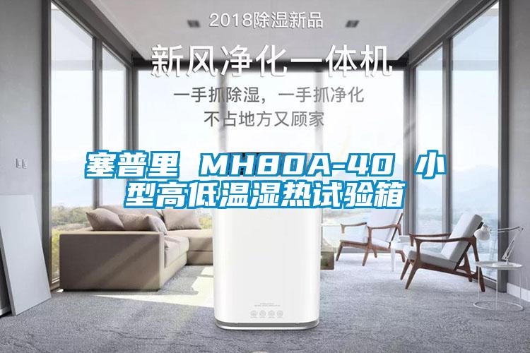 塞普里 MH80A-40 小型高低溫濕熱試驗(yàn)箱