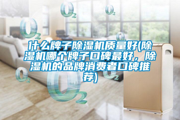什么牌子除濕機(jī)質(zhì)量好(除濕機(jī)哪個(gè)牌子口碑最好，除濕機(jī)的品牌消費(fèi)者口碑推薦)