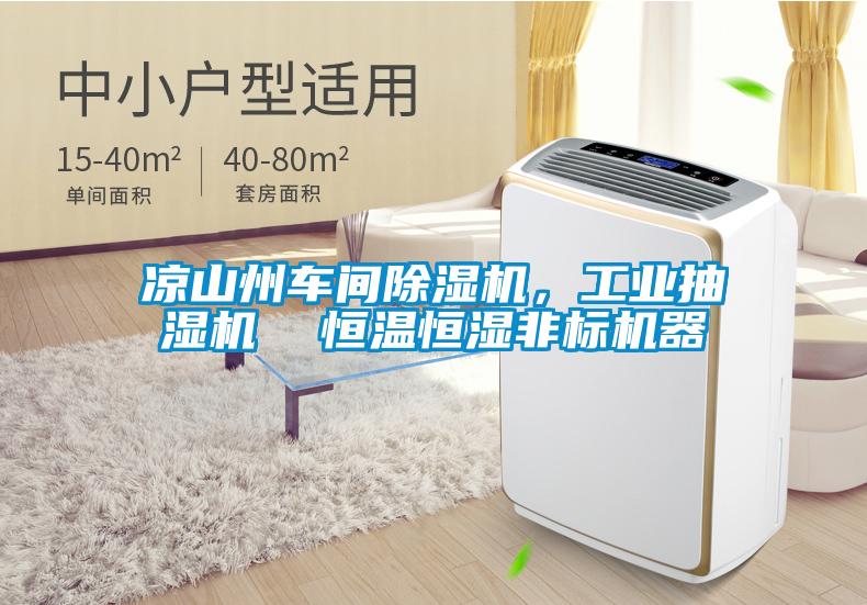 涼山州車間除濕機，工業抽濕機  恒溫恒濕非標機器