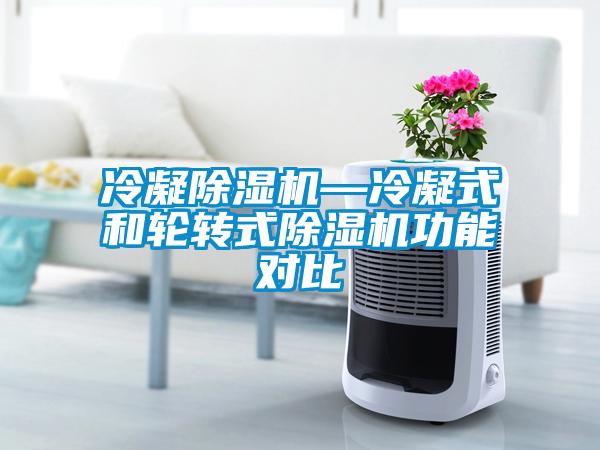 冷凝除濕機—冷凝式和輪轉式除濕機功能對比